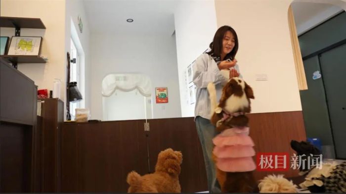 辞去互联网大厂工作95后女生当宠物保姆治好情绪病(图2)
