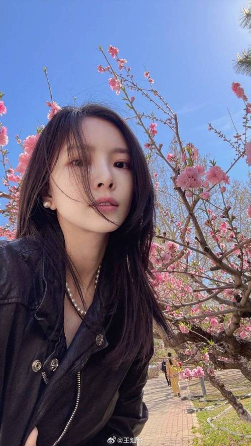 杜淳妻子吐槽保姆风波：边界感与舆论的碰撞(图1)