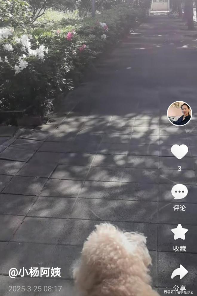 保姆比家庭主妇待遇好有工资有下班时间(图3)