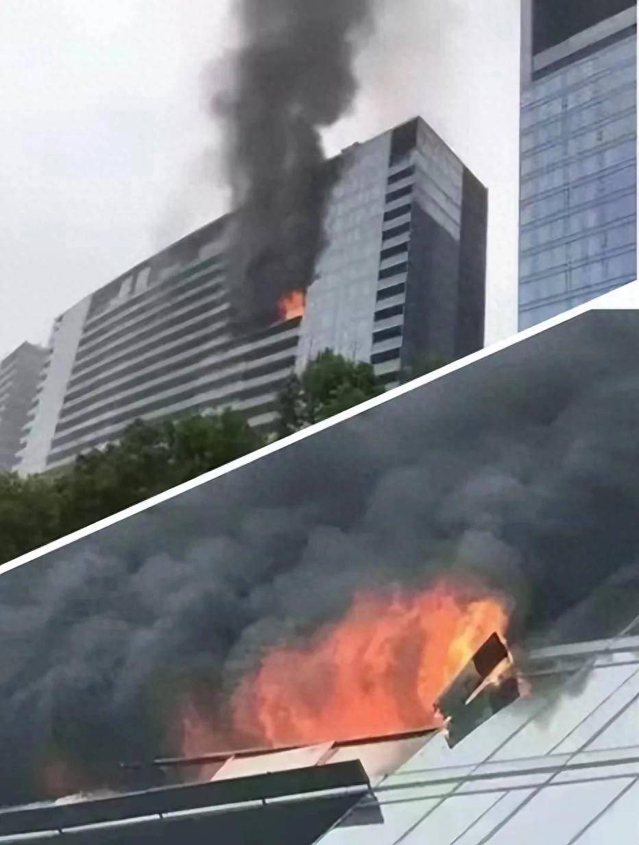 八年贝搏体育注册前的“保姆纵火案”究竟藏着什么秘密